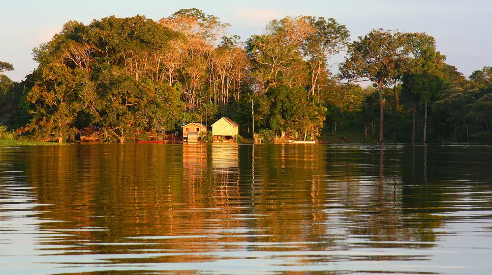 Vegetação e casas à margem de um rio, imagem do acervo visual Quase Nativa